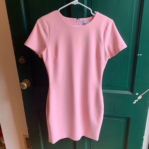 Baby Pink “Likely” Fitted Dress